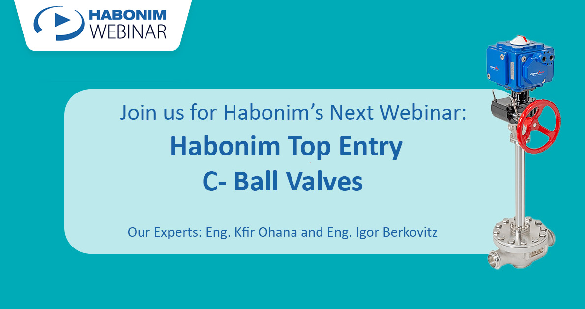 Habonim Top-Entry C-Ball Valves
